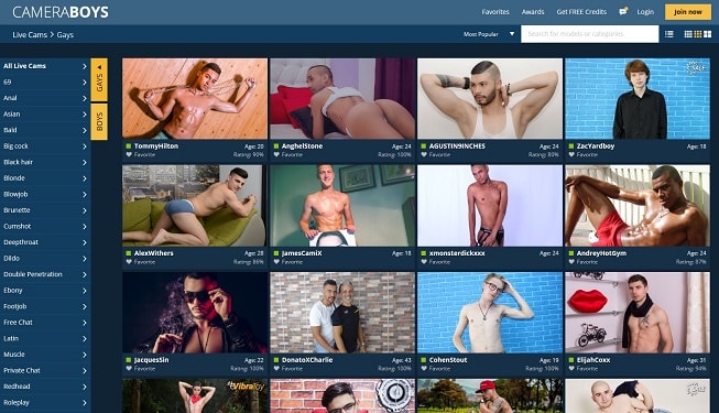 CameraBoys Is A Premium Gay Porn Live Cam Site, With More Than 150 Gay Sex Cams Available At Any Time